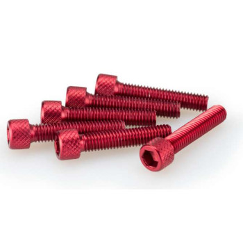 Puig M6x30mm BTR screws (x6)