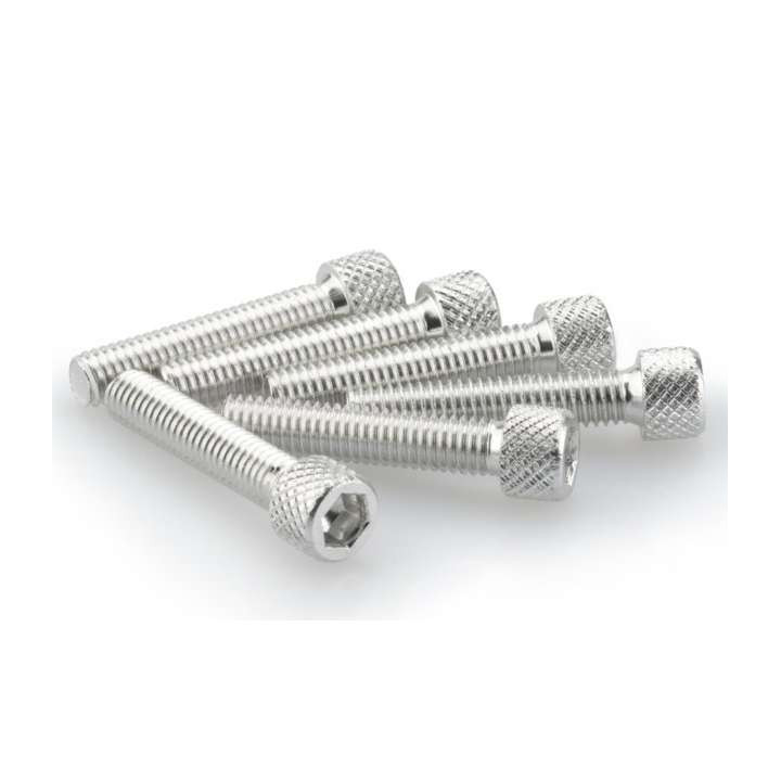 Puig M6x30mm BTR screws (x6)