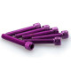 Puig M6x30mm BTR screws (x6)