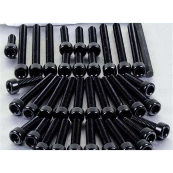 Pro-Bolt engine screw kit Black Suzuki GSX-R 600/750 11-