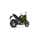 Akrapovic Carbon-approved muffler Kawasaki Z900 20-.