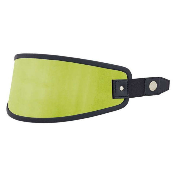 IRIDIUM display for Nexx X.G100 helmet
