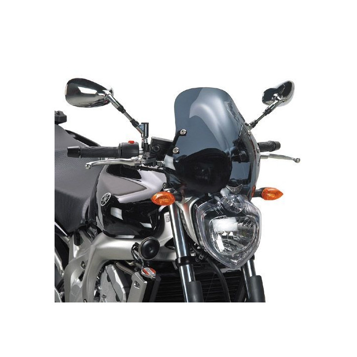 Saute vent Givi (140D+D140KIT) Yamaha FZ6 N 04-06