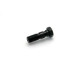 Speedbrakes double hollow screw M10x1.25
