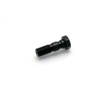 Vis creuse double Speedbrakes M10x1.25