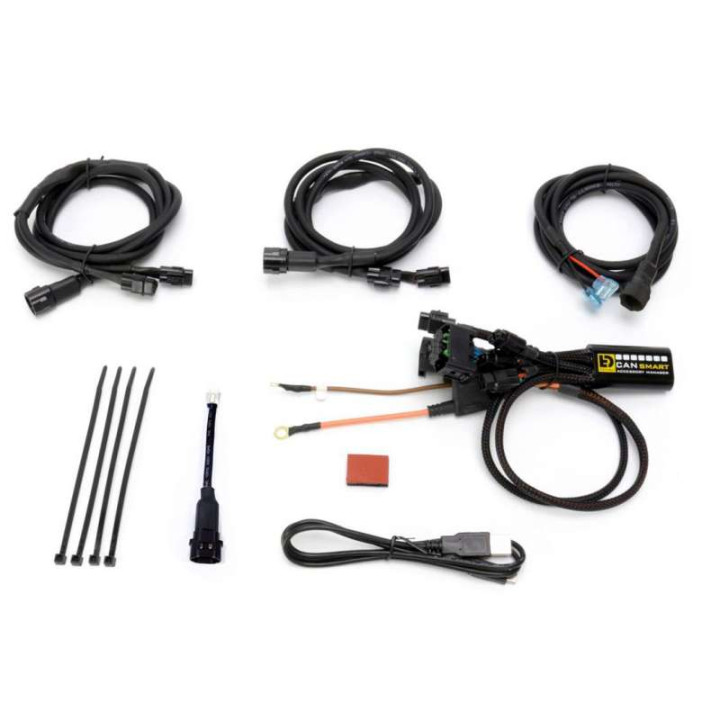 Faisceau DENALI CANsmart Gen II BMW R1200/1250 LC Series (DNL.WHS.11602)