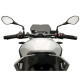 Saute-vent Puig Naked New Generation SPORT (20887) BMW S1000R 21-