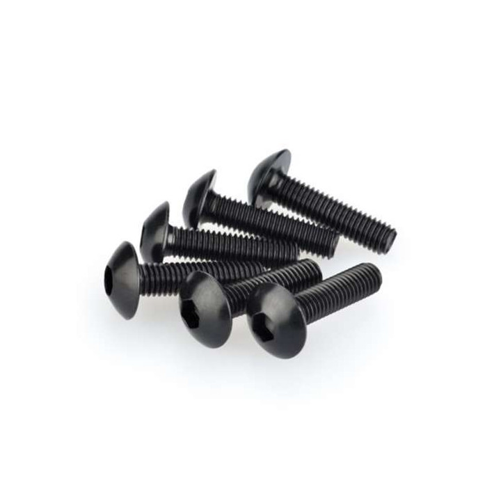 Vis tête bombée (x6) Puig M6x20mm