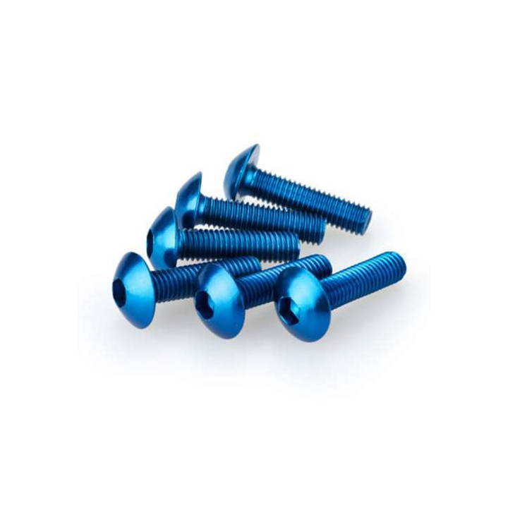 Vis tête bombée (x6) Puig M6x20mm