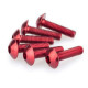 Vis tête bombée (x6) Puig M6x20mm