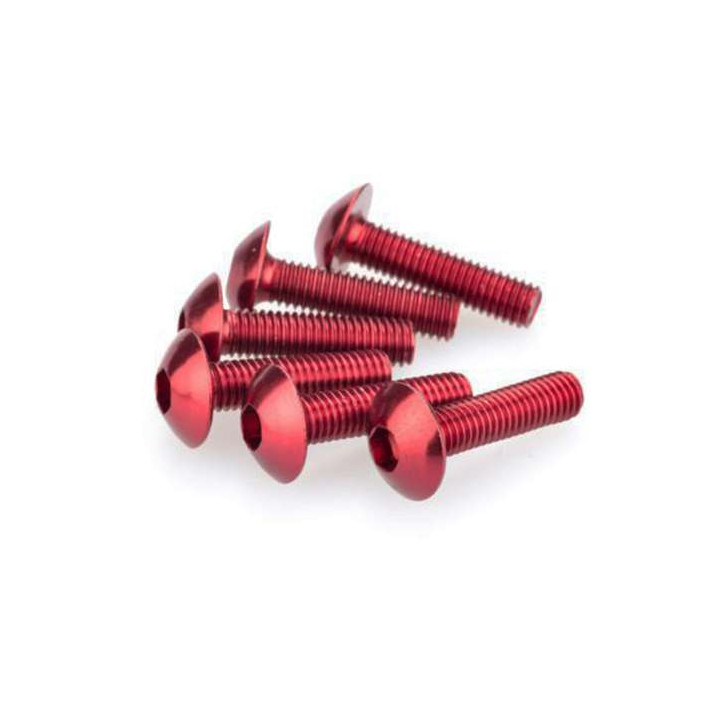 Vis tête bombée (x6) Puig M6x20mm