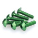Vis tête bombée (x6) Puig M6x20mm