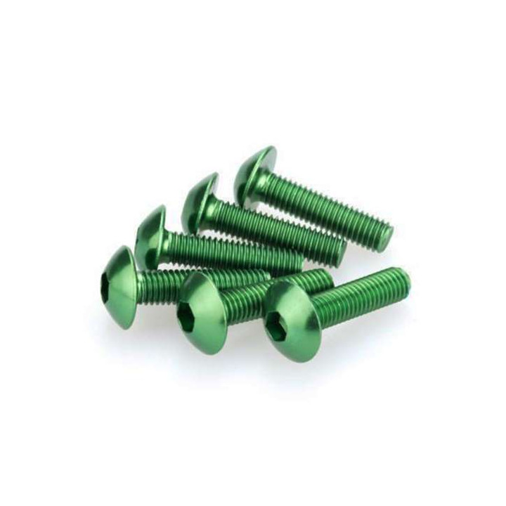 Vis tête bombée (x6) Puig M6x20mm