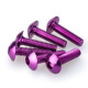Vis tête bombée (x6) Puig M6x20mm
