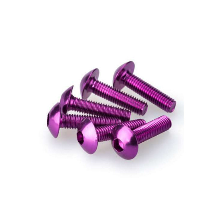 Vis tête bombée (x6) Puig M6x20mm