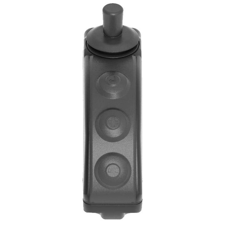 Carp remote control Iter ADVENTURE Carp remote control Iter ADVENTURE