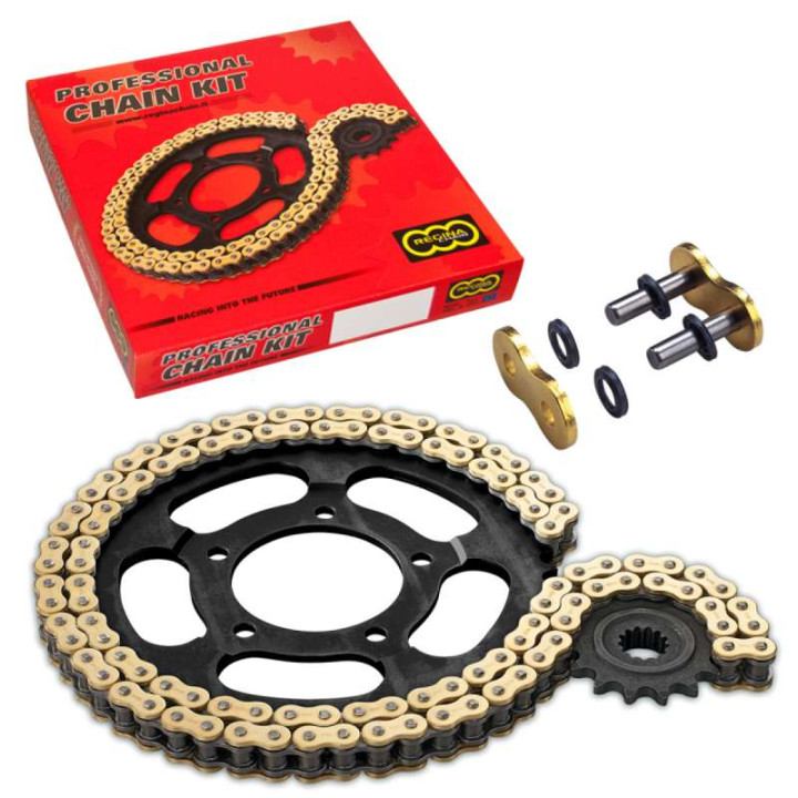 REGINA 525 ZRP 22/47 Aprilia SRV 850 reinforced motorcycle chain kit