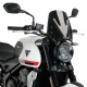 Pare-brise Puig NEW GENERATION SPORT (20638) TRIDENT 660