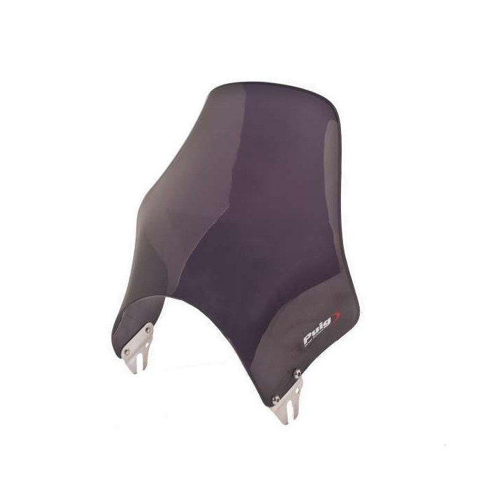 Pare-brise Puig NAKED (4320) 34,5 cm