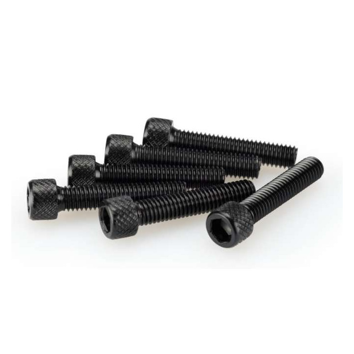 BTR screws (x6) Puig Allen M6x50mm