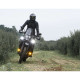 Feu additionnel DENALI D3 LED TriOptic