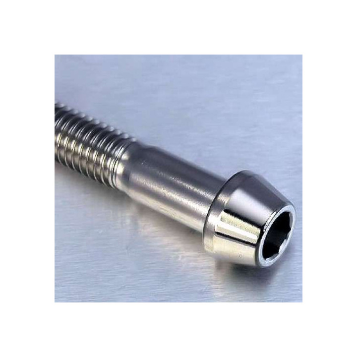 Stainless steel lower fork bolts (x1) Pro-Bolt BMW R1200 Kawasaki Z1000