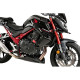 Ailerons latéraux Puig DOWNFORCE ROADSTER (21533) Honda CB750 HORNET