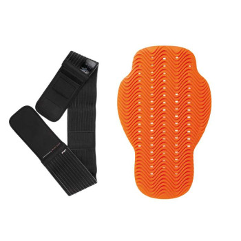 Dorsale moto et ceinture lombaire T.UR