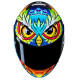 HJC RPHA 12 SPASSO Helmet