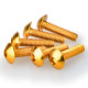 Vis tête bombée (x6) Puig M5x20mm