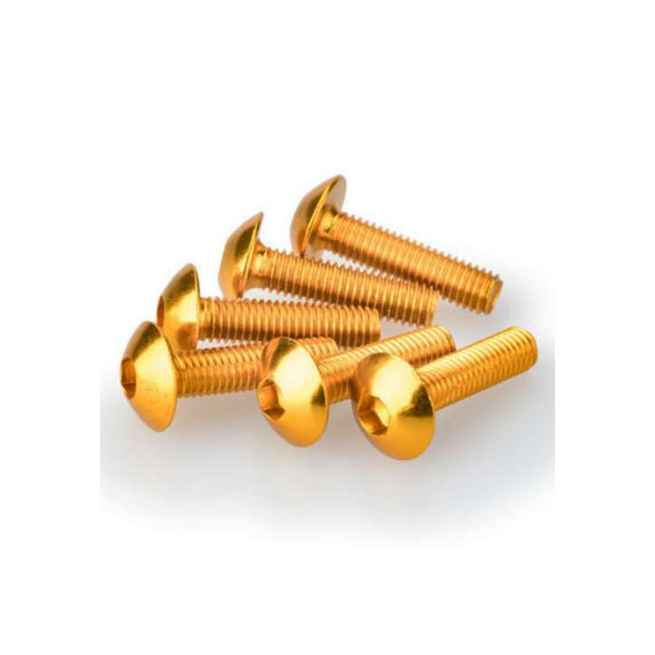 Vis tête bombée (x6) Puig M5x20mm