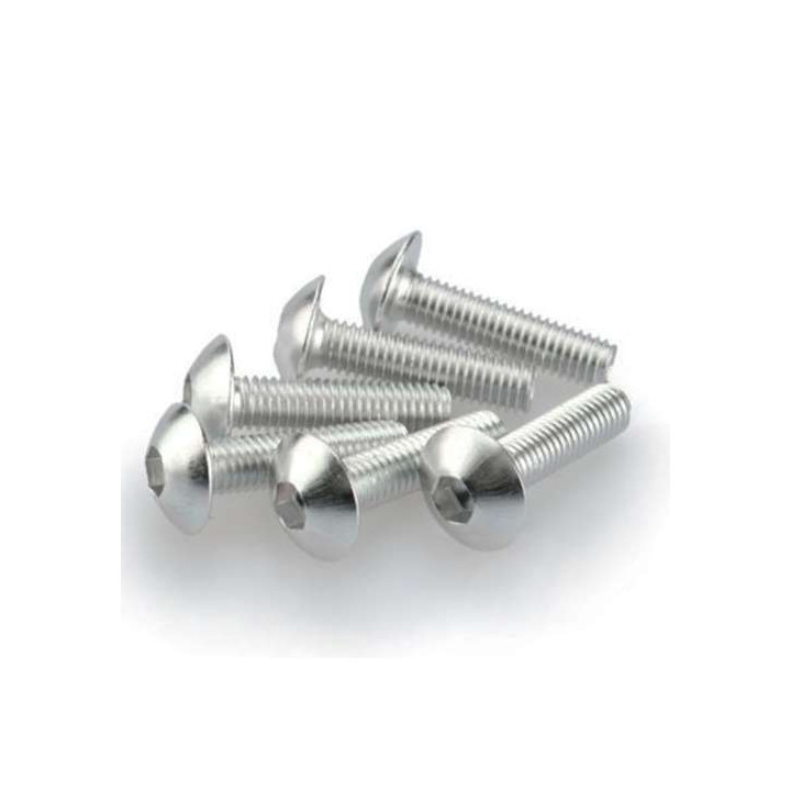 Vis tête bombée (x6) Puig M5x20mm