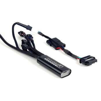 Faisceau DENALI CANsmart BMW R1300GS / GSA (DNL.WHS.25900)
