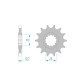 AFAM sprocket 15 teeth pitch 525 type 21607 MT-07