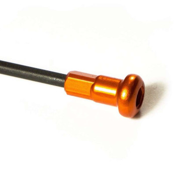 Option têtes de rayon couleur pour roue Haan WHEELS