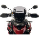 Bulle WRS SPORT (TR004) Triumph Tiger 900