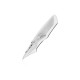 Bulle WRS CAPONORD (HO069) Honda CRF1100L Africa Twin 24-