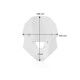 Bulle WRS CAPONORD (HO069) Honda CRF1100L Africa Twin 24-