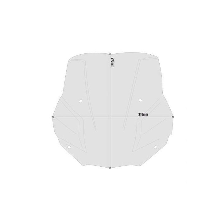 Givi smoked bubble (5139S) BMW F900R