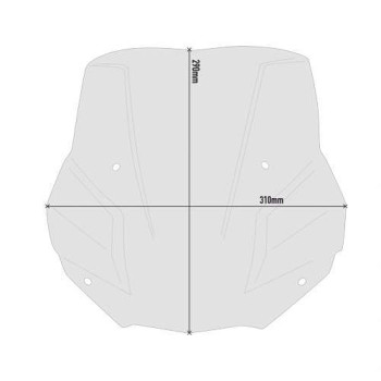 Givi smoked bubble (5139S) BMW F900R